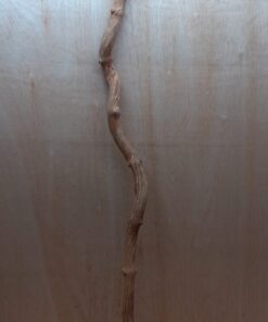 Straight Liana 2-3cm - Long - 13