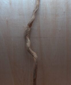 Straight Liana 2-3cm - Long - 14