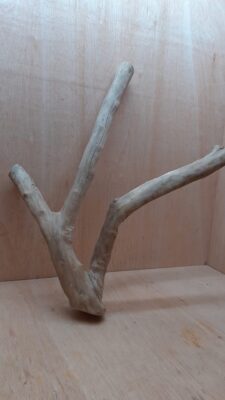 Java Wood - Double Stem - XL 13