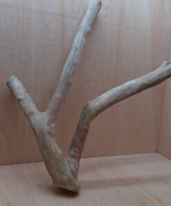 Java Wood - Double Stem - XL 13