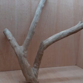 Java Wood - Double Stem - XL 13