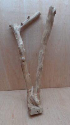 Java Wood - Double Stem - XL 17