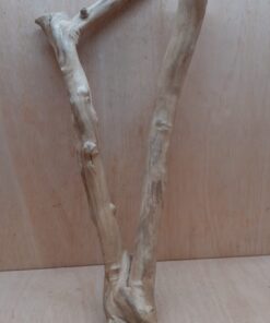 Java Wood - Double Stem - XL 17