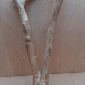 Java Wood - Double Stem - XL 17