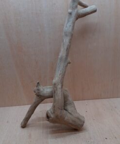 Java Wood - Double Stem - XL 18