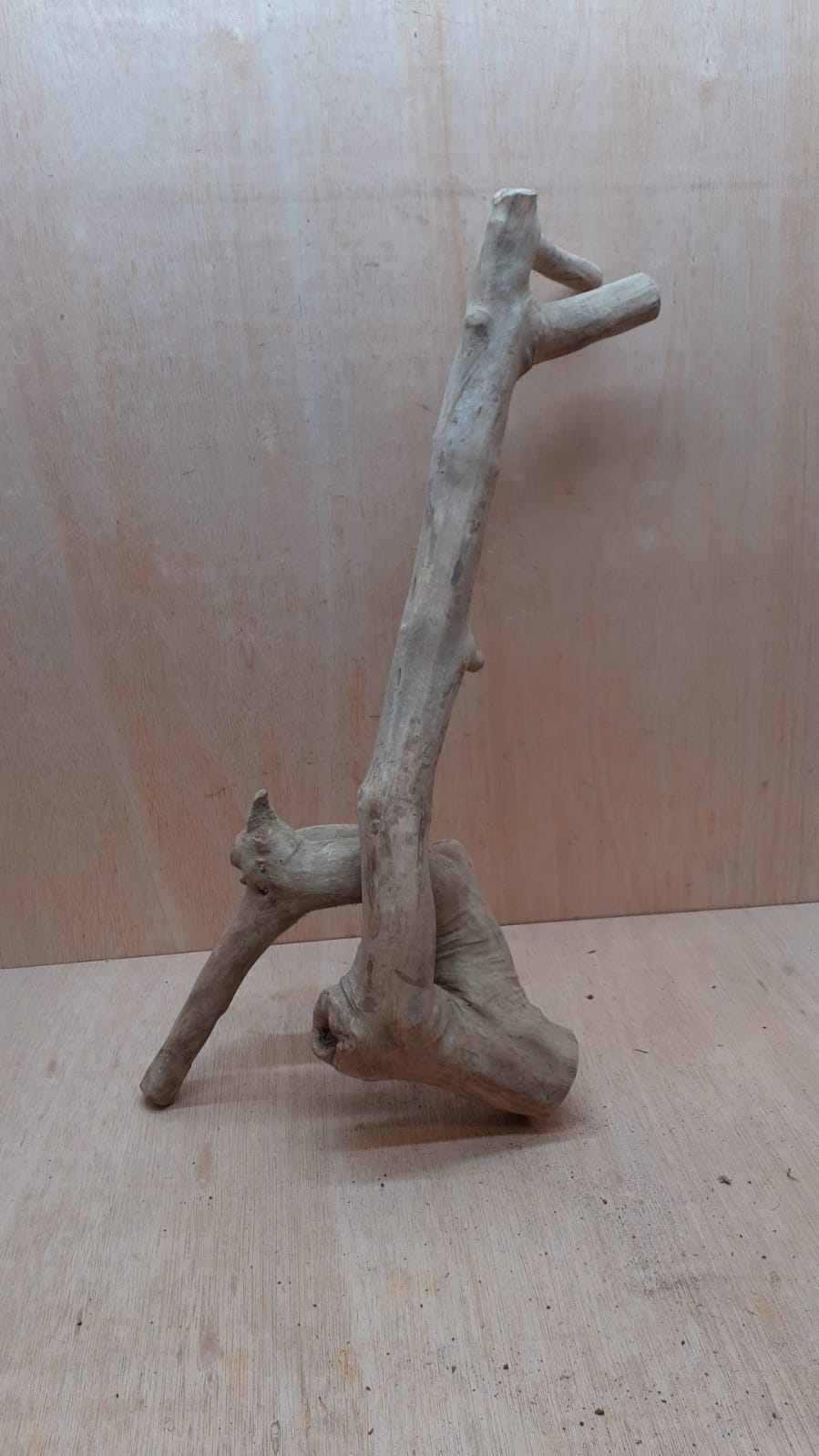 Java Wood - Double Stem - XL 18