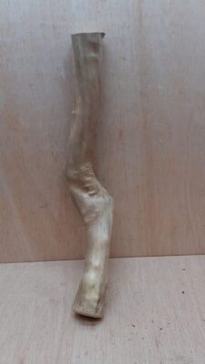 Java Wood - Single Stem - Large 12