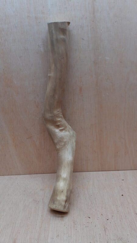 Java Wood - Single Stem - Large 12