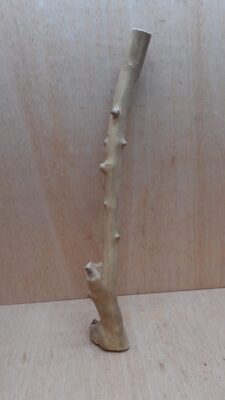 Java Wood - Single Stem - Large 14