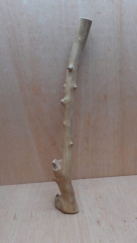 Java Wood - Single Stem - Large 14