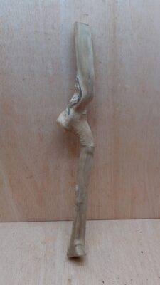 Java Wood - Single Stem - Large 15