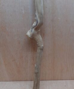 Java Wood - Single Stem - Large 15