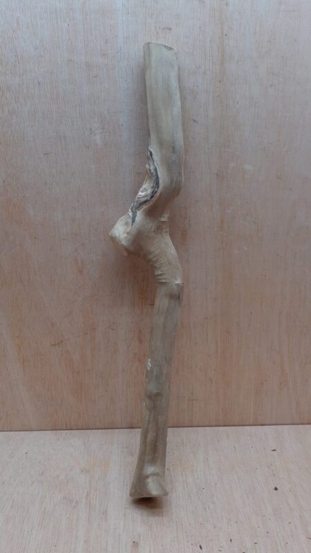 Java Wood - Single Stem - Large 15