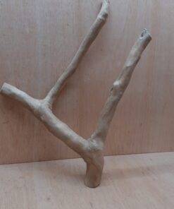 Java Wood - Double Stem - Large 13