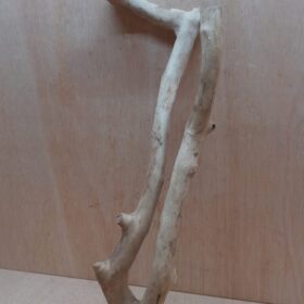 Java Wood - Double Stem - Large 20