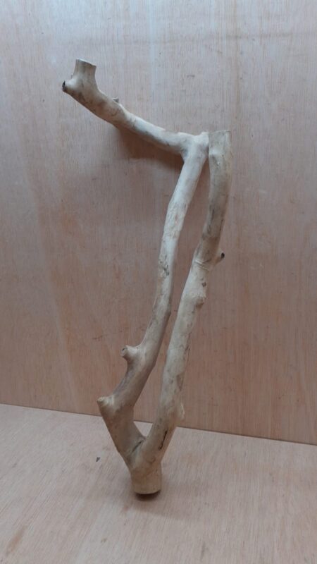 Java Wood - Double Stem - Large 20