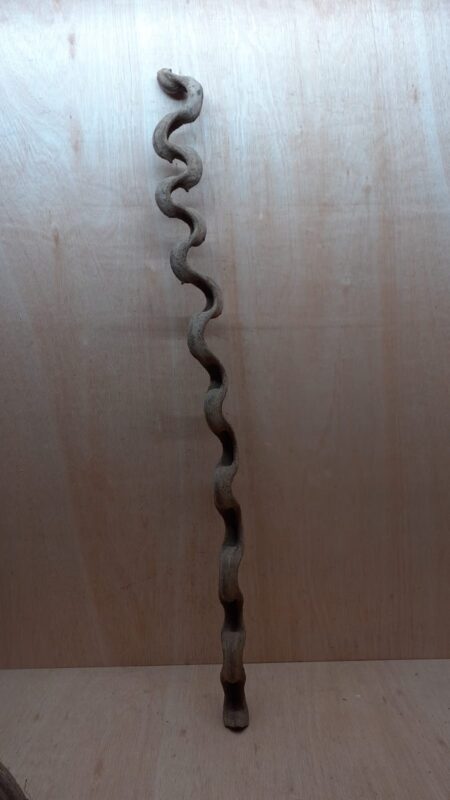 Monkey Ladder Liana - Long - 13