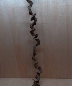 Curved Liana - Long - 11