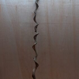 Curved Liana - Long - 13