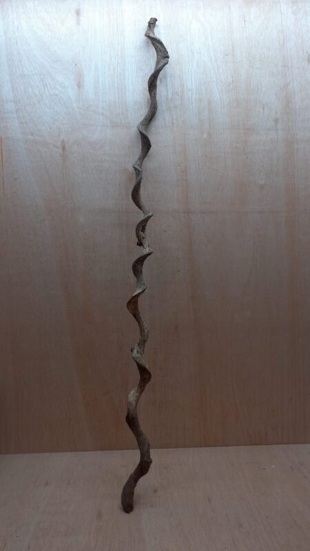 Curved Liana - Long - 13