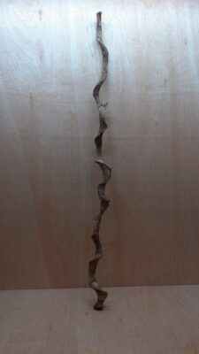 Curved Liana - Long - 18