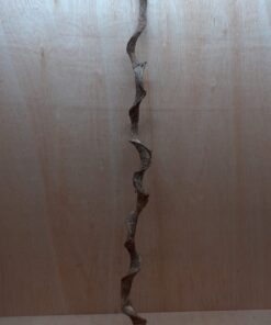 Curved Liana - Long - 18