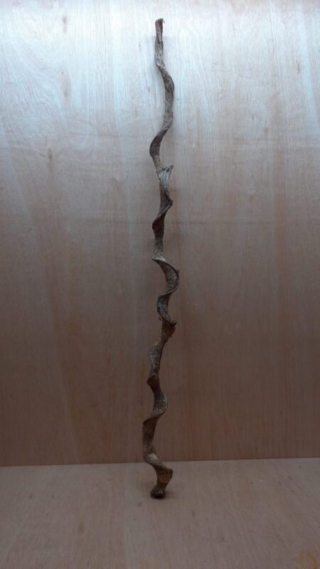 Curved Liana - Long - 18