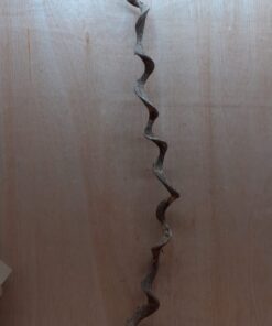 Curved Liana - Long - 19