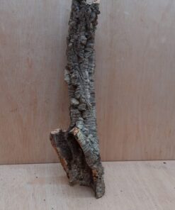 Small Cork Tube - 40-60cm - 30