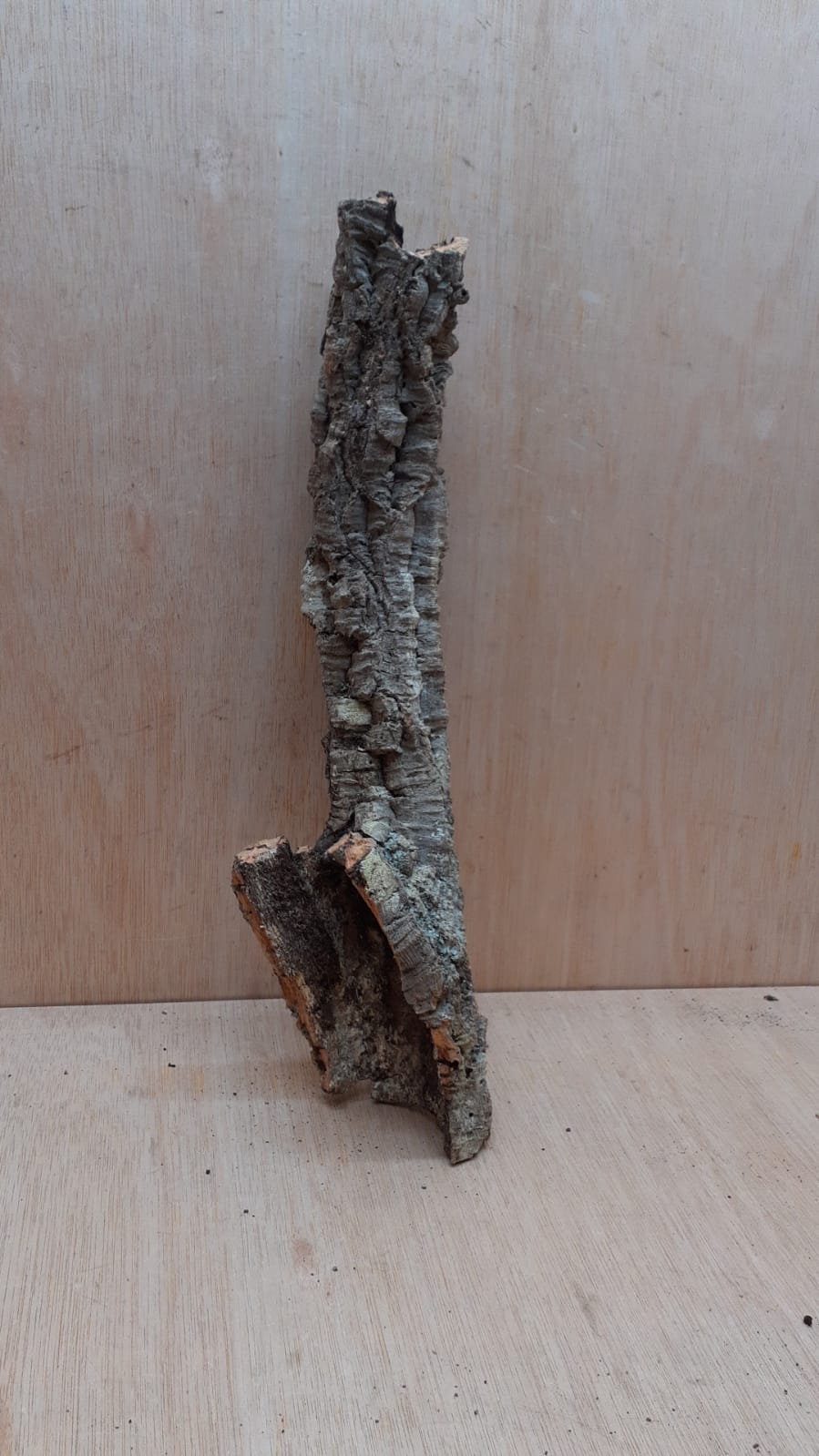 Small Cork Tube - 40-60cm - 30