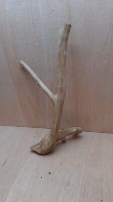 Java Wood - Double Stem - Large 19