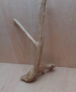 Java Wood - Double Stem - Large 19