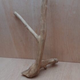 Java Wood - Double Stem - Large 19