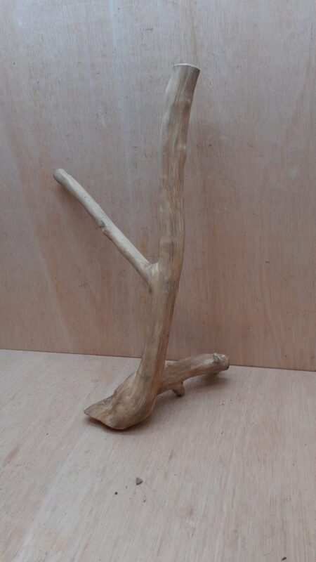 Java Wood - Double Stem - Large 19