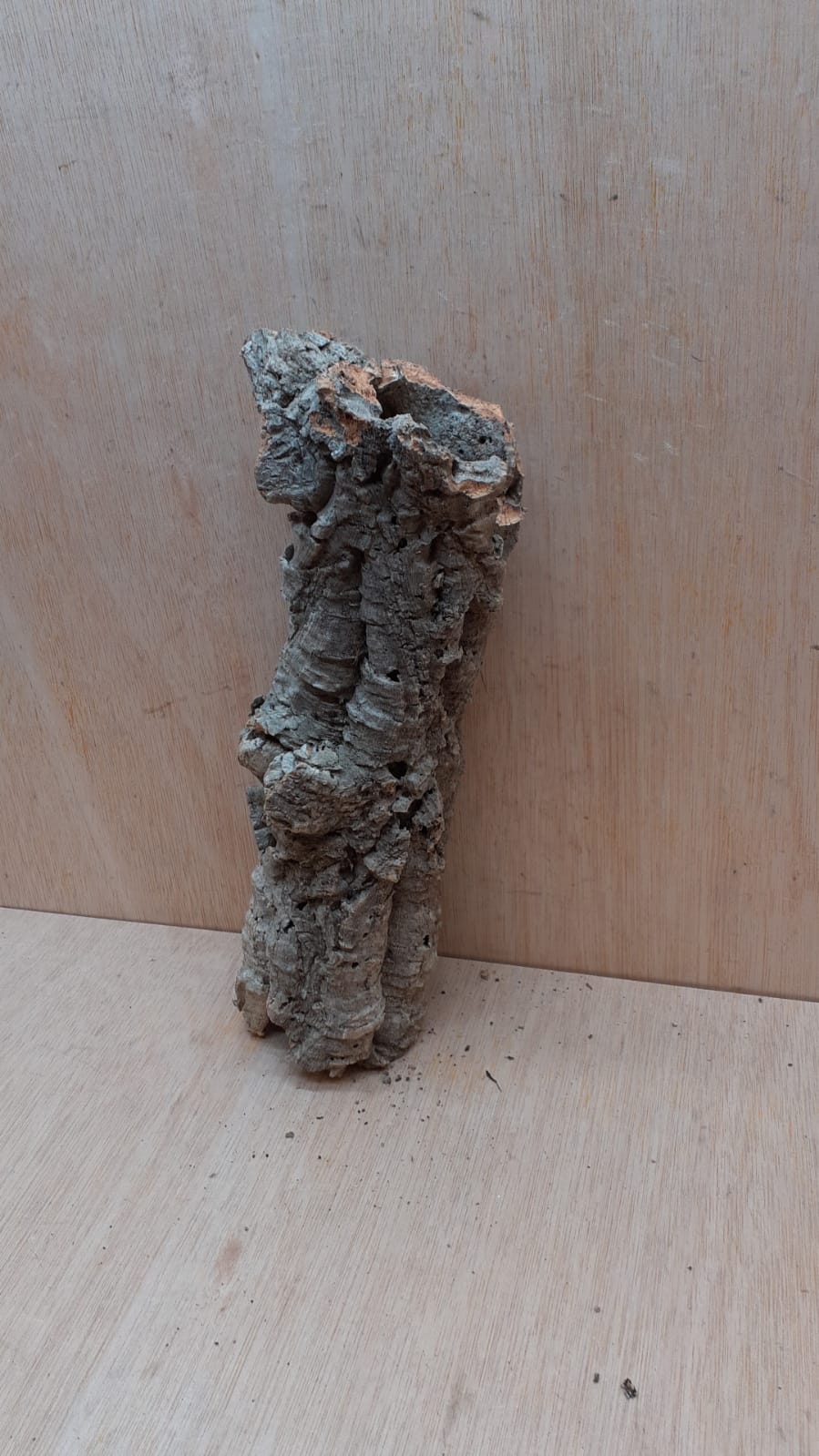 Small Cork Tube - Upto 40cm - 29