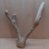 Java Wood - Double Stem - Large 14