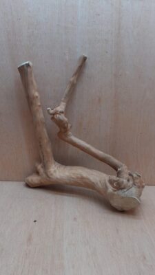 Java Wood - Double Stem - Large 15