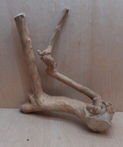 Java Wood - Double Stem - Large 15