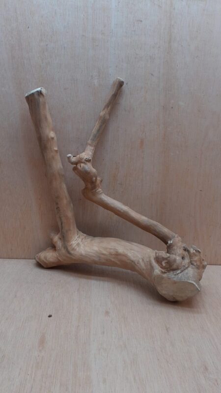 Java Wood - Double Stem - Large 15