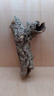 Small Cork Tube - 40-60cm - 25