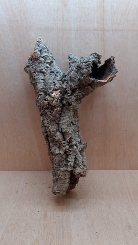 Small Cork Tube - 40-60cm - 25