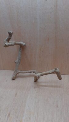 Java Wood - Double Stem - Medium 13