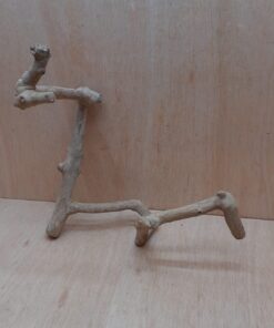 Java Wood - Double Stem - Medium 13