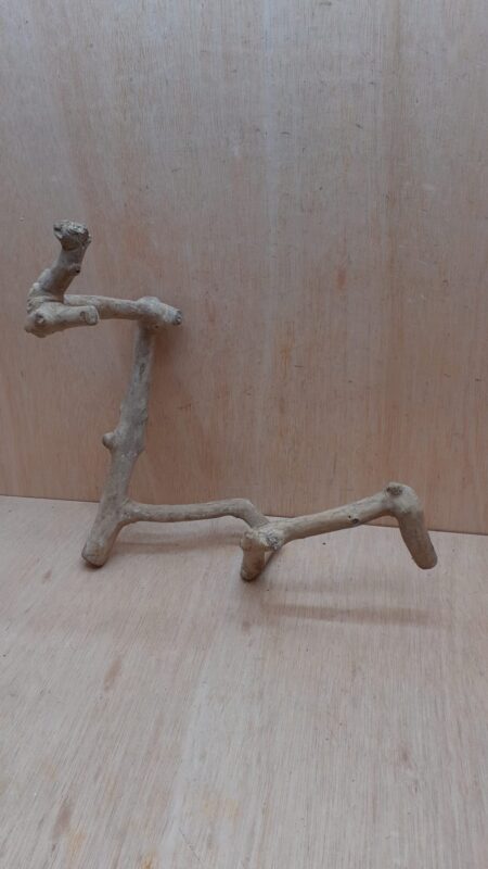 Java Wood - Double Stem - Medium 13