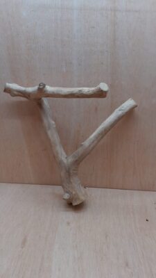 Java Wood - Double Stem - Medium 15