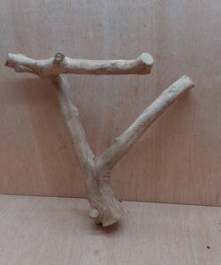 Java Wood - Double Stem - Medium 15