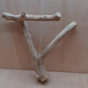 Java Wood - Double Stem - Medium 15