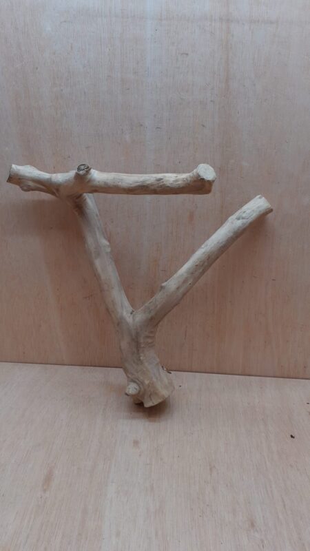 Java Wood - Double Stem - Medium 15