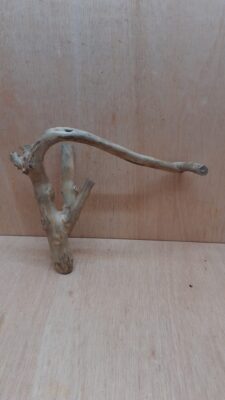 Java Wood - Double Stem - Medium 18