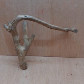 Java Wood - Double Stem - Medium 18